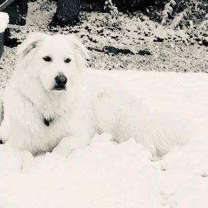 Meet your Posher, Eileen